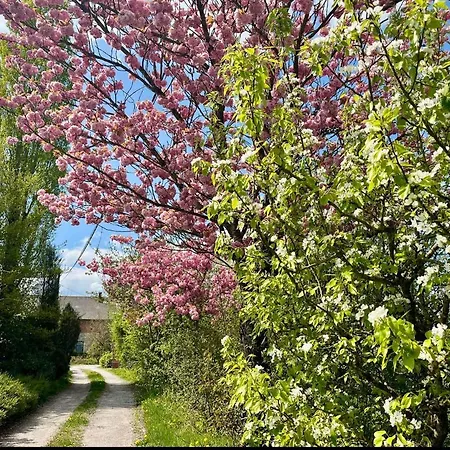 La Ferme Du Ravet - Aux Lacs De L'eau D'heure Holiday home *